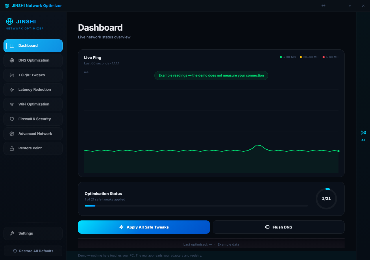 JINSHI Network Optimizer demo window on its dashboard, with the example ping graph and the DNS, TCP/IP and latency sections in the sidebar